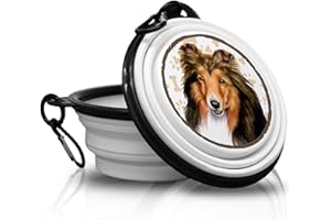 POWER GIFT Shetland Gamelle portable pliable avec mousqueton pour animal domestique