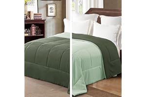 Exclusivo Mezcla Piumino letto Matrimoniale, Piumino trapuntato soffice e traspirante, adatto a tutte le stagioni, 220x230 CM Smeraldo/Menta