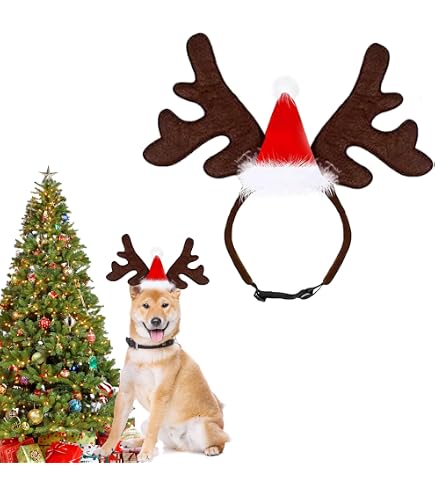 MELLIEX Costume De Noël Pour Chien Et Chat - Ensemble Chapeau Père Noël + Cravate Rouge, Réglable - Taille Grand - 10