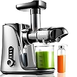 AMZCHEF Macchina per succhi di frutta motore potente -GM3001-GA