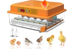 Hethya Incubadora automática de huevo, incubadora de pollos para el hogar, controlador de la granja, 12-16 huevos