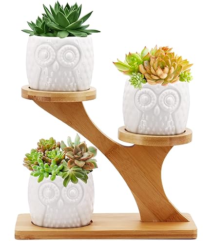 DIY ideeën voor een sfeervolle woonkamer