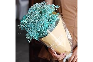 SONGJUM Dried Baby's Breath Flowers Bouquet Natural Dried Flowers Baby's Breath Real Gypsophila Branches for Wedding Table Vase Party Garden DIY Wreath Floral Home Decor（Blue）