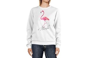 Neverless® Sweatshirt Damen Flamingo Print Florida Schriftzug Watercolor Design Rundhals-Pullover Pulli Sweater