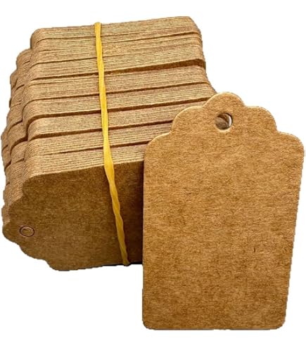 100 Etichette In Carta Kraft Con Foro - Per Regali, Matrimoni, Compleanni, Fai Da Te, Forme Assortite