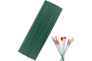 WINBEST 100 Pcs Green Florist Wire Stems 2mm Floral Wire 30cm Wreath Wires Stub Floristry for Wreath Making Flower Arranging Craft Supplies DIY Bouquet Stems Decoration
