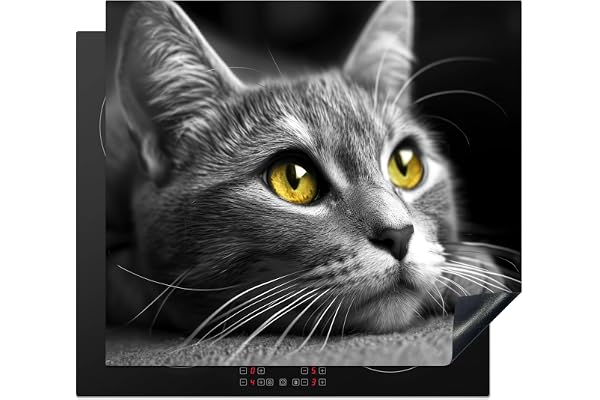 KitchenYeah© Protège Plaque Induction 60x52 cm Décoration Cuisine Protection Pour Plan De Travail Cuisson Protégé Chat - Gris - Animaux - Chat - 60x52 cm