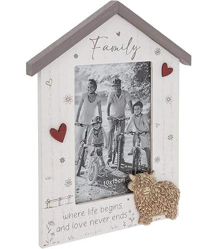 LESSER & PAVEY Love & Affection Highland Cow Wooden Plaque - Friends