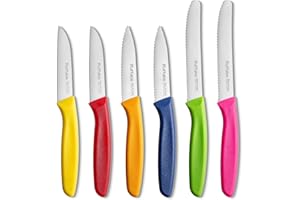 Ruffulon Paring Knife Set of 6,Kitchen Knife Set,Straight Edge&Serrated Knifes,Sharp Fruit Knife,Vegetable Knifes,Durable PP Handle,Multicolored Kitchen Paring Knives,Dishwasher Safe(6 Colors)
