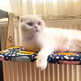 gobypet always the best Kalorifer Petek Radyat&ouml;r Kedi Yatağı Geniş ve Geniş K&ouml;pek Yatağı, Askılı Kedi Yatağı (Kedi Desenli)