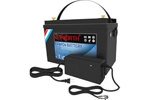 FLLEEYPOWER KEPWORTH 100Ah 12V Akumulator litowo-żelazowo-fosforanowy, Deep Cycle 8000 cykli Li-Ion, 10 lat żywotności, wbudowany inteligentny 100A BMS, do instalacji solarnych, morskich, łodzi, kamperów