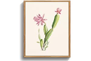 MHARTK66 Quadri Vintage Botanico Soggiorno con Cornice Legno, 20x25 cm Stampe da Parete Cactus Fiori Rosa Illustrazione, Quadro Camera da Letto Su Tela Decorazioni Parete Desktop Arte Bagno Ufficio