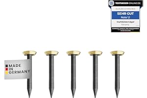 RIKAMA ONLINEVERSAND AUS EINER HAND Lot de 30 clous pour tableau, 20 mm de long, clous en acier pour une utilisation sur le béton, la brique, le plâtre et le bois, clous en acier trempé comme suspension d'images, fabriqués en Europe