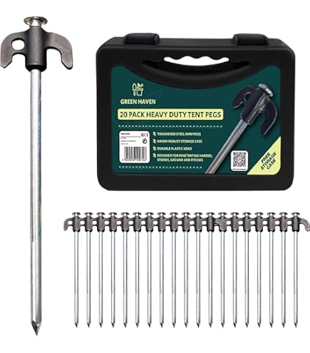 Interface de l application Stake sur mobile