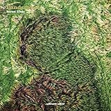 Image de Landscapes: Ortsbeschreibungen eines Überfliegers