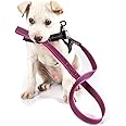 Color & Gray Super-Grip Leash with Handle, 20 mm x 1 m, Pink-Gray