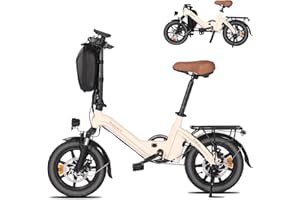 Bodywel T16Pro Bici Elettrica Pieghevole 14" Leggera Adulti/Ragazzi, Certificata TÜV, Batteria 36V 7.8Ah + Motore 250W, 3 Velocità, Display LED 4.5", Preassemblata 90% per Città