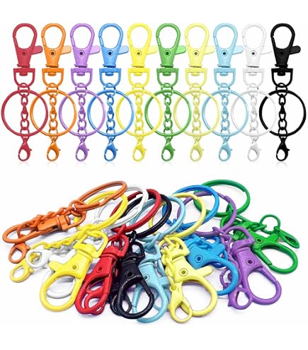 50 Anneaux Porte-clés Avec Mousqueton – Diamètre 25 Mm, Acier Nickelé, Pour DIY Et Organisation