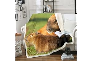 HOMEWISH Capybara Decke Geschenke für Kinder Teens,Nette Capybara Decke Werfen 150x200 für Jungen Mädchen,Capybaras Basking in Der Sonne Fleece Decke Lustige Nagetiere Tiere Gedruckt Fuzzy Decke,Weich Warm