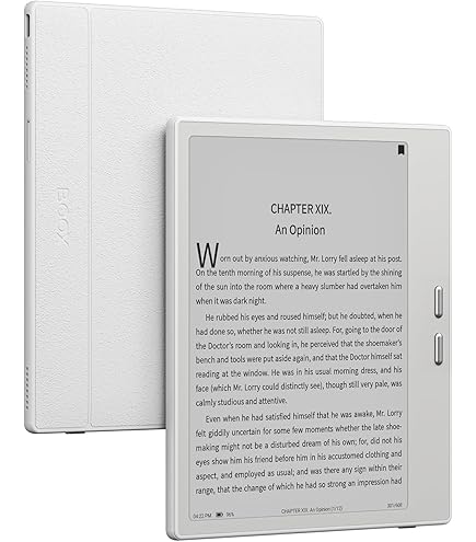 boox go color 7 White ケース付き boox go color 7 White ケース付き BOOX Go Color 7 | The