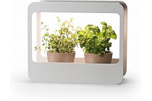 Romberg Home Garden Mini Gewächshaus mit LED Wachstumslampe für Pflanzen, LED Pflanzenlampe Vollspektrum, 14W Grow Light für Basilikum Topf, Minze Samen und Rosmarin Pflanze, 50.5x21x40 cm