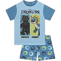 Traxxas Mini Maxx Dachschutz & Heckklappenschutz Schwarz - 10717-BLK