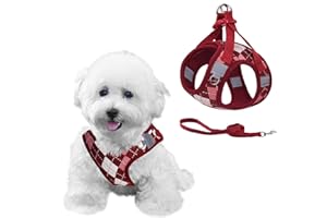PawSailor Arnes para Perros Pequeño Arnés Antiescape Antitirones con Correa Step-in Transpirable Ajustable con Patrón Cuadros, Reflectante Seguridad para Adiestrar Caminar, Rojo XXS
