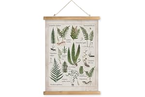 XIAOAIKA Affiche Illustrative de Fougères Vintage - Poster Décoratif Botanique avec Cadre en Bois, Art Mural Élégant pour Intérieurs et Collectionneurs, 40 x 58 cm