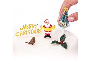 EVELAY Christmas Cake Decorations Toppers 5 Piece Set - 3D Santa, Robin, Christmas Tree, Holly & Merry Christmas Sign - Non-Edible Reusable Cupcake Topper