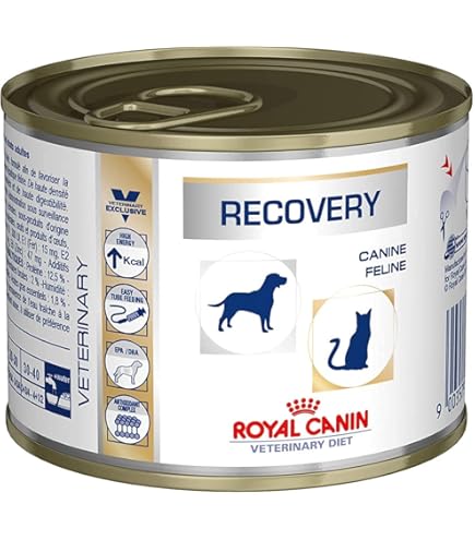 Royal Canin Veterinary Diet Recovery Liquid 3 x 200 ml : Amazon.co