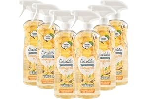 COCCOLATEVI Bloomalcool 60° 750 ml, Detergente Multiuso Profumato, Deterge e Profuma, Ideale per Cucina, Bagno e Superfici Dure, Senza Risciacquo (750 ml (confezione da 6), Vaniglia)