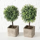 Künstliche Pflanze, Pflanzen, Topfpflanze, 2er Set, Deko, Gartendeko, Buchsbaum