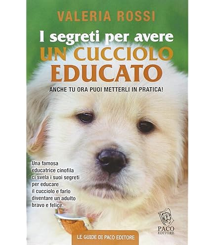 Recinto Per Cuccioli Ferplast DOG TRAINING - Box Pieghevole 80x80x62 Cm, Metallico Con Piedini Antiscivolo - Foto 8