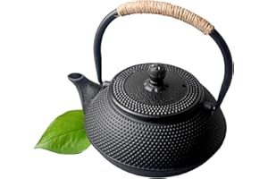 HwaGui Theiere en Fonte Japonaise avec Résistant à la Chaleur en Acier Inoxydable Infuseur The 600ml, 0.6l Bouilloire Saine