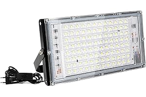 Fynokst Foco LED Assen de 100 W, 1 foco, 3000 K, 10 000 LM, para interiores, IP66, resistente al agua, apto para jardines, garajes y estadios deportivos [Clase de eficiencia energética E]
