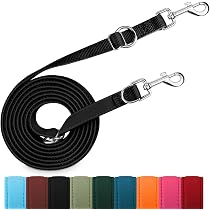 Hundehalsband Odie, Lustiges Garfield-Design, Verstellbar - Größe M (26-41 Cm), Schwarz/weiß, Für Hunde & Katzen