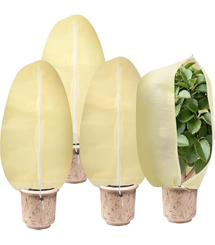Lot De 2 Housses D'hivernage Pour Plantes 100 X 80 Cm - Tissu Non Tissé 80 G/m², Fermeture éclair, Protection Gel Et Vent - 3