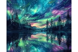HONGYRJY Aurora Paint by Numbers - Starry Sky Canvas Kit for Adults With Scenery - Perfect for Home Wall Decor and Gifts 12x16in