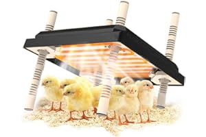 CISSIYOG Chick Brooder Heating Plate,Adjustable Height and Angle Chick Brooder,Safe Incubators Alternative to Heat Lamps and Hens,for Chicks/Ducks Thermostat (10" x 10") for 15 Chicks - Black
