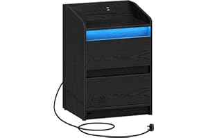 Hzuaneri Bedside Table with LED Lights, Bedside Cabinet with Charging Station and 2 Drawers, Nightstand with USB Ports & Power Outlet, Nightstand for Living Room and Bedroom, Black NS30004XUK