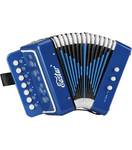HOHNER XS Accordéon Adulte Gris/Blanc Avec Gigbag - Idéal Pour Débutants Et Musiciens