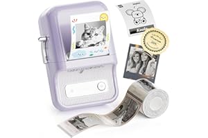 NIIMBOT B21 Pro Imprimante D'autocollants Portable, Étiqueteuse Bluetooth sans Encre pour Photos, Notes d'étude, mémo