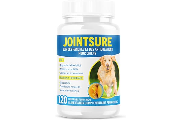 JOINTSURE Senior – Comprimés Premium de Soin articulaire avancé pour Chiens | 120 comprimés avec glucosamine et Moule Verte pour la mobilité et la solidité des articulations
