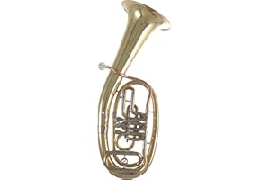 Roy Benson Bb-Tenorhorn TH-201 (Premium Kompaktmodell, mit Ø 24 cm Messing Schallstück, langlebigem Goldmessing Mundrohr, Neusilber Zügen, in lackiertem Finish, inkl. leichtem Formetui)