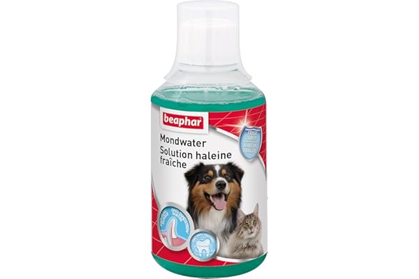 Beaphar - Solution haleine fraîche – Favorise la Bonne santé bucco-Dentaire du Chien et du Chat sans brossage ni rinçage – Élimine la Plaque Dentaire – Empêche la Formation de tartre - 250 ML