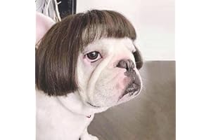 TESSVEYA Funny Hund Perücke, Katze Rollenspiel Perücke, Halloween, Weihnachten, Partys, Fest für Haustiere Perücke, kleine, mittlere und große Hunde Perücke (Schwarz-braun gerade Haare)