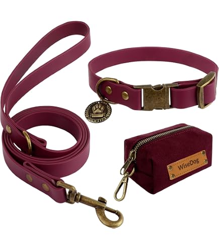 Hundehalsband Aus Polypropylen & Biothane – Verstellbar, Größen S–XL, Waschbar, Made In Germany