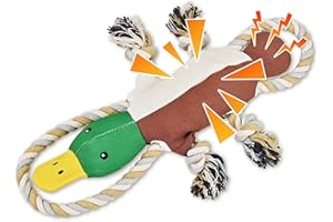 Ousiya Giocattoli per cani che scricchiolano, giocattoli interattivi da masticare per dentizione, giocattolo da tiro alla fune per cani di taglia piccola, media e grande