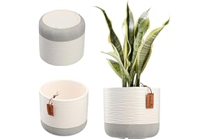 KADAX Doniczka na kwiaty, ceramiczna donica w 2 wariantach kolorystycznych, ozdobna donica z tłoczeniami dekoracyjnymi, ceramiczna donica na rośliny pokojowe (12 cm, biała)