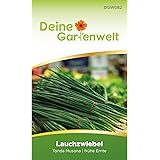 Lauchzwiebeln Tonda musona Samen | Frühlingszwiebel | Winterheckenzwiebeln Saatgut | Lauchzwiebelsamen | Allium cepa